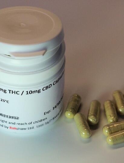 Raíz cannábica: fiebre, inflamación, artritis y dolor.