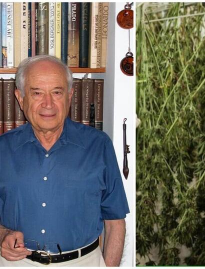 Raphael Mechoulam, pioneer of cannabis research