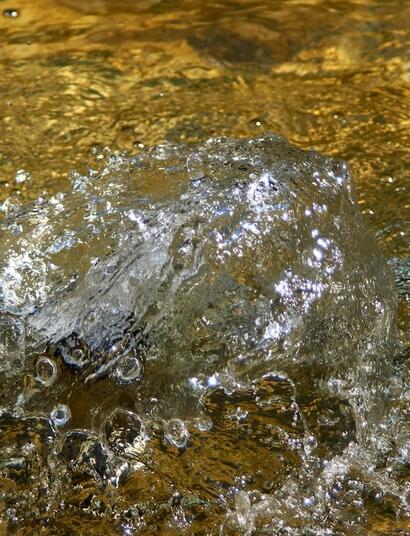 Discover how reverse osmosis works, its benefits, and how it can enhance your plant care routine. A must-read for beginners seeking cleaner water solutions.