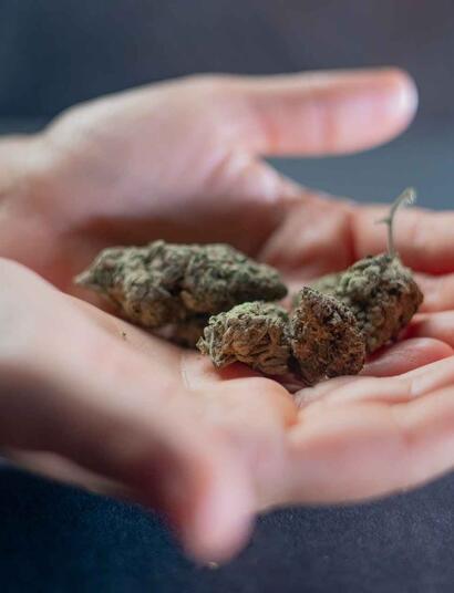 Rhode Island adult use legislation.