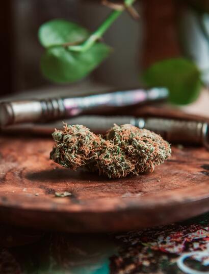 cogollo de cannabis premium