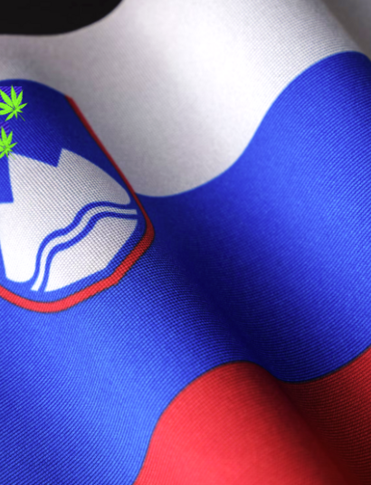 Slovenia flag, referendum