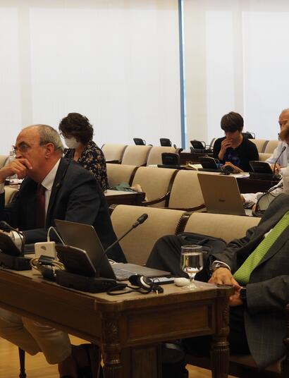 Steegman en la comisión Cannabis Medicinal