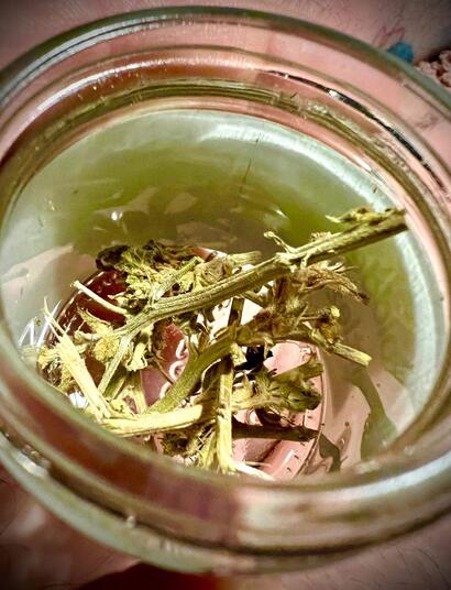 stems in jar