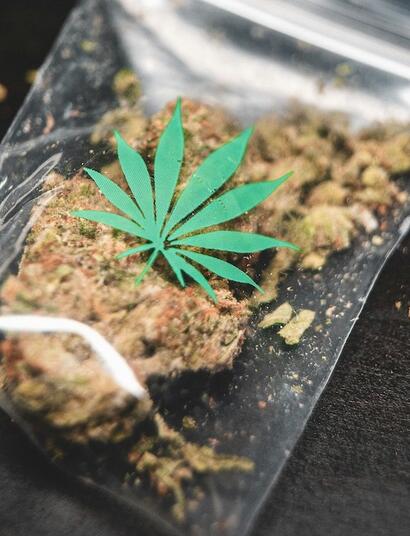 Opositores quieren un referéndum contra la legalización de la marihuana de uso adulto en Suiza.