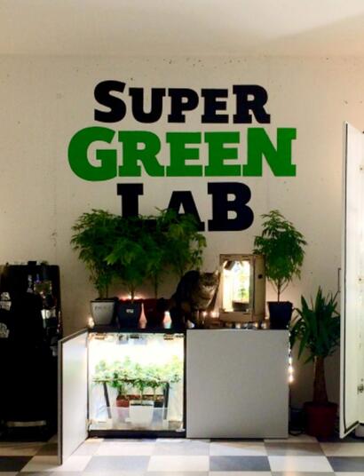 Super Green Lab: histoire d'une passion verte partagée