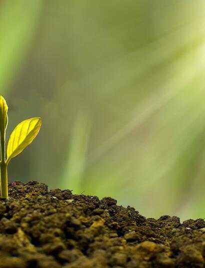 Support Soft Secrets with a small donation