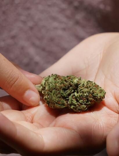 What makes synthetic cannabinoids different from natural cannabis? Explore the origins, effect, health risks, and how they compare to semi-synthetic compounds. 