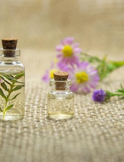 Exploring Terpenes: Beta-Caryophyllene