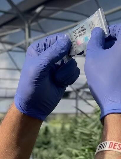 Test, Cannabis, controlli, legale