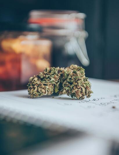 cogollo de marihuana 