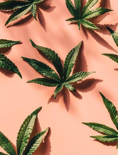 Will Thailand bring down recreational use of weed?