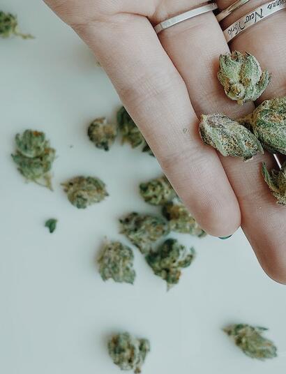 THCA y THC: propiedades terapéuticas y diferencias.
