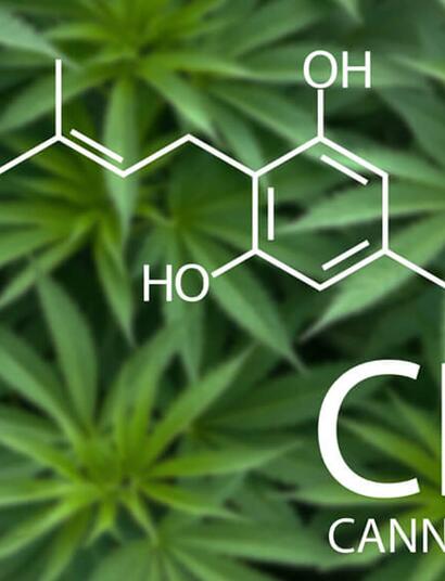 CBG The Mother Cannabinoid