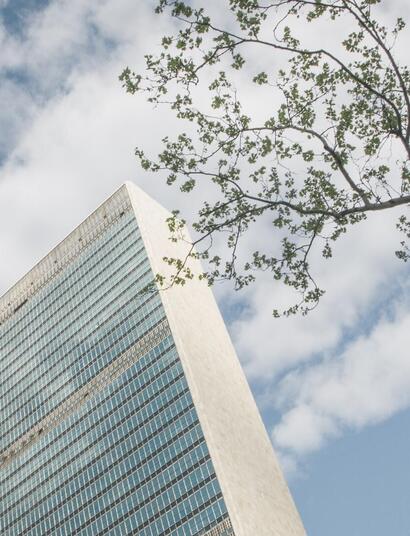 The United Nations Removes Cannabis from List of Dangerous Drugs