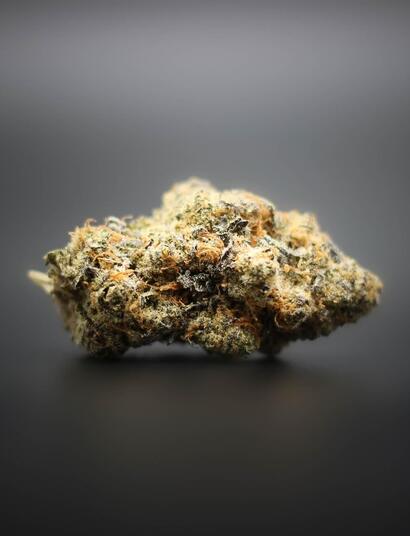 draft law on Germany cannabis 