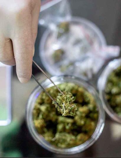 verkoop experimentwiet Tilburg