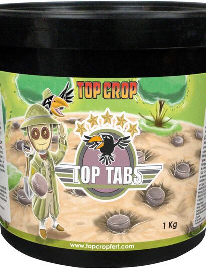 tabs
