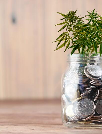 Investire in cannabis è davvero un'opportunità?