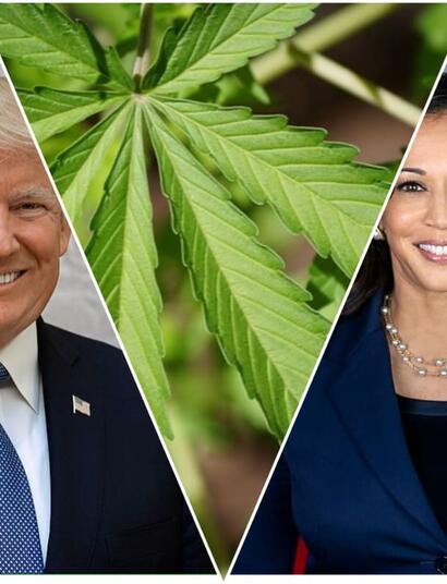 Trump blames Harris for incarceration of thousands Blacks over cannabis