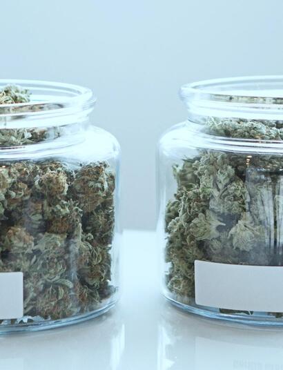 Can Medical Cannabis Help Treat Parkinson’s Disease?