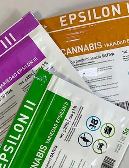 Uruguay, record di cannabis legale nel 2025: il trionfo di Epsilon con il 20% di THC
