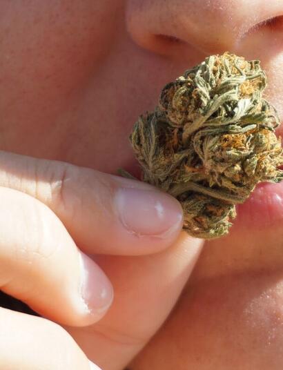 job seekers in Washington cannot be discriminated for cannabis use during hiring