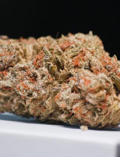 Discover the Watermelon Zkittlez cannabis strain, an easy-to-grow fruity hybrd with sweet citrus flavors, relaxing effects, and a smooth, uplifting high. 