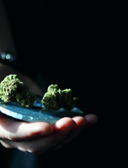 weed, young people and the justice system