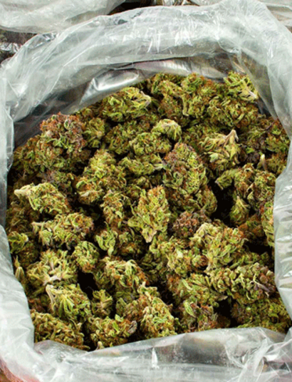 Record weedbust in Spain (2700 kilo)