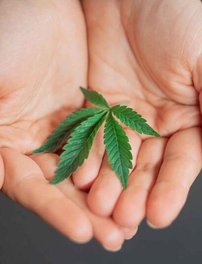 lovetender is an upgrade of budtender.