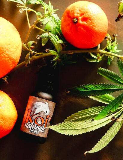 Cannabis leaves and buds arranged with fresh oranges and a bottle of terpene extract, illustrating citrus terpenes in cannabis