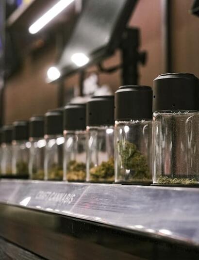 Discover the top 10 cannabis strains for 2026. From the THC-heavy Think Tank to flavor-packed Blueberry Caviar, stay ahead of the hottest US weed trends. 