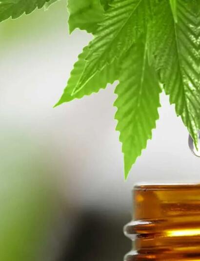 Think CBD cures everything or works best without THC? Discover five common misconceptions about CBD and what current cannabis research actually says in 2026.