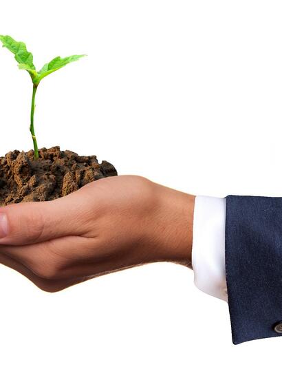 what does the future of cannabis holds?