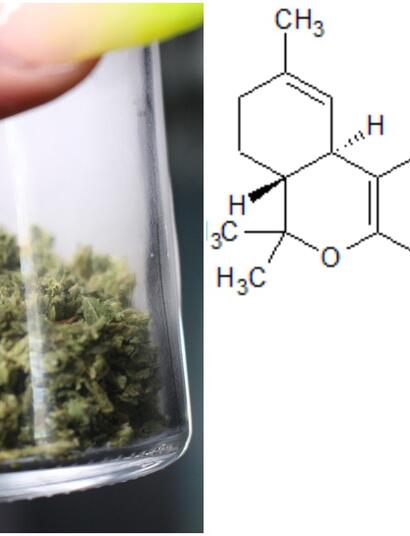 what is thc-p? 