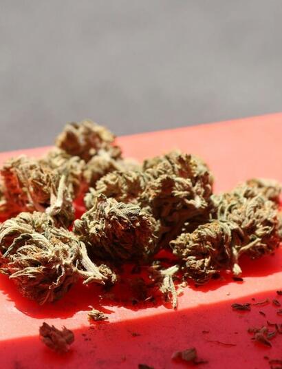 Irvin Rosenfeld, long-standing medical marijuana patient, is acknowledged by the Guiness Book for World Records for having smoked the most cannabis ever. 