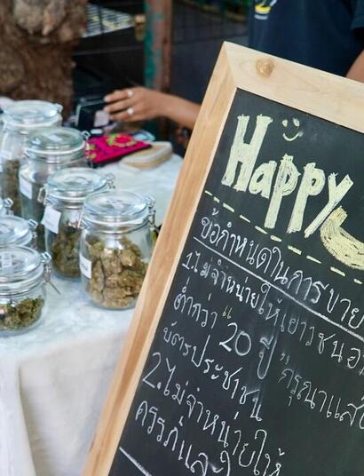 cannabis boom Thailand