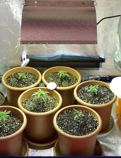 a grow tent, what to look out for?
