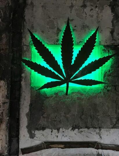 Why does illegal cannabis trade persist after legalization? 