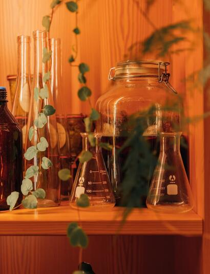 ¿Cómo-generar-CO2-para-cultivar-cannabis?
