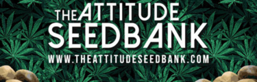 The Attitude Seed Bank