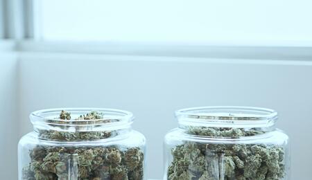 A recent study has highlighted a new form of reporting bias that could affect how evidence about medical cannabis is presented to the public.