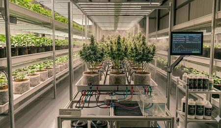 10 essential tips for cleaning your hydroponic system after harvest and creating a sterile growing environment.