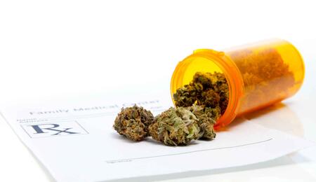 Cannabis médical : le cap du 1000eme patient a été franchi  