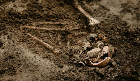 Psychoactive cannabis substances, specifically CBD (cannabidiol) and THC (delta-9-tetrahydrocannabinol), were detected in bones that are over 300 years old.