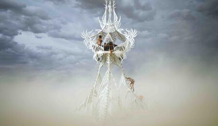 Star Seed, Burning Man 2012, foto ©Scott London