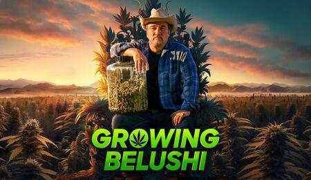 growing belushi