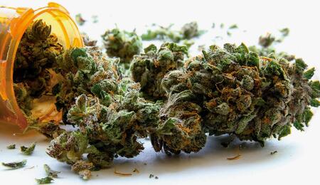 2,30 Euro für medizinisches Cannabis