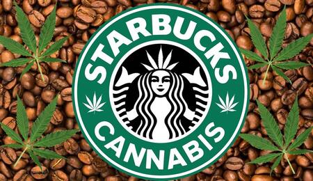 Starbucks e Cannabis